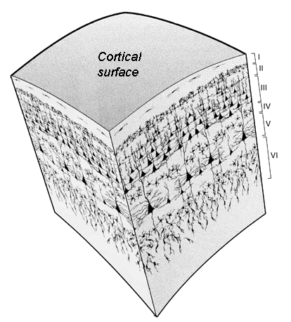 columnsAndLayers