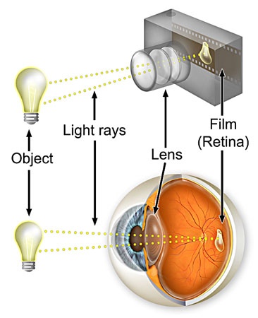 retinalCamera