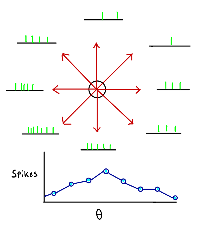 tuningCurve